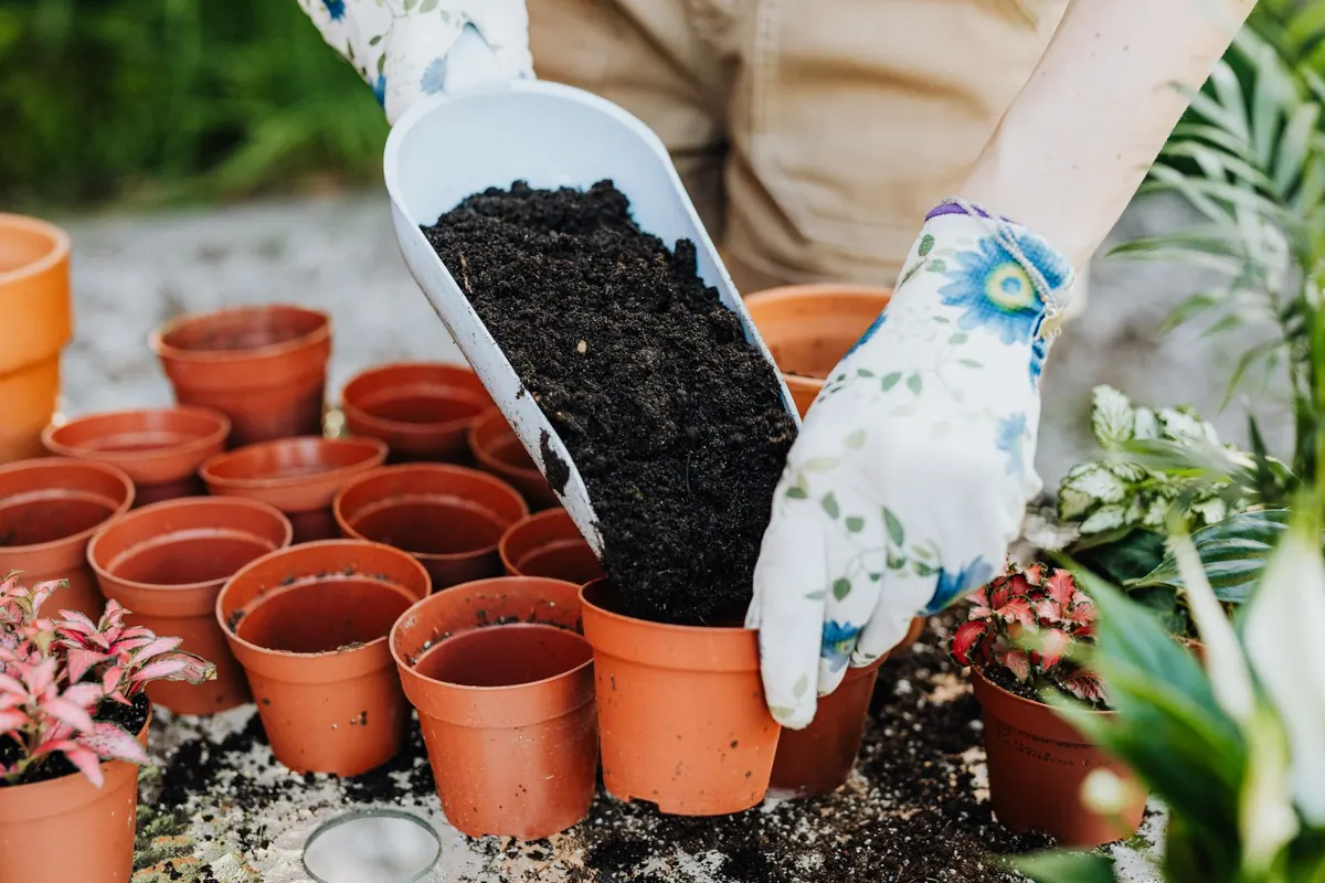 Common Mistakes I Made During My First Year of Gardening